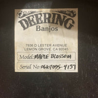 Guitare Deering Elite Banjo