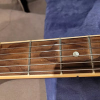 Superbe Guitare électrique GIBSON Les Paul Spécial Vintage