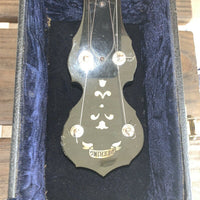 Guitare Deering Elite Banjo