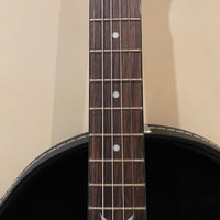 Banjo électrique Dean Backwoods