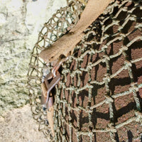 Casque US M1 authentique