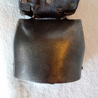 CLOCHE A VACHE CHAMONIX MSD N°6