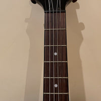 Banjo électrique Dean Backwoods