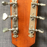 Guitare Framus Banjo 1970