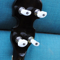 Banjo ténor ton or Master Tone IT-250