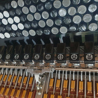 Accordéon Victoria Virtuoso Cassotto